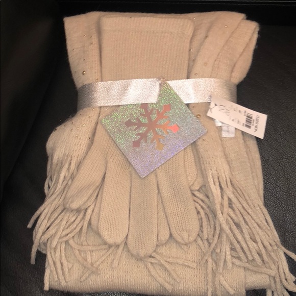 New York & Company Accessories - NY&C gloves and scarf